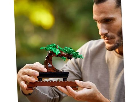 LEGO Bonsai Tree 10281 Building Toy With a Beautiful Display Piece