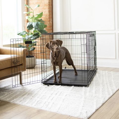 Vibrant Life 37130D Double-Door Foldable Metal Wire Dog Crate with
