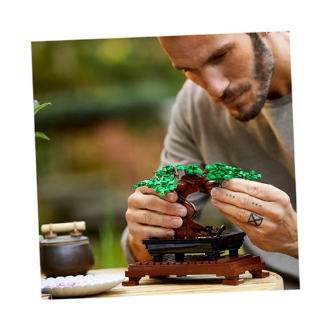 LEGO Bonsai Tree 10281 Building Toy With a Beautiful Display Piece