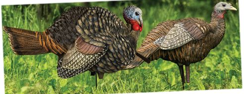 Avian-X AVX-AVX8014 LCD 1/2 Strut Jake and Breeder Hen Turkey