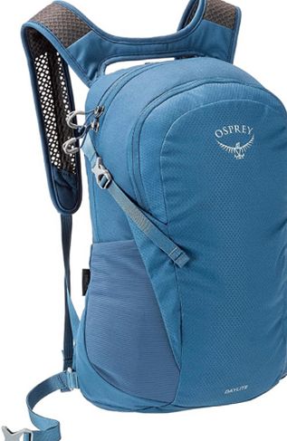 デサントオルテライン×ポーターの激レアバックパック　リュック　青 DESCENTE ALLTERRAIN デサント オルテライン - リュック・バックパック