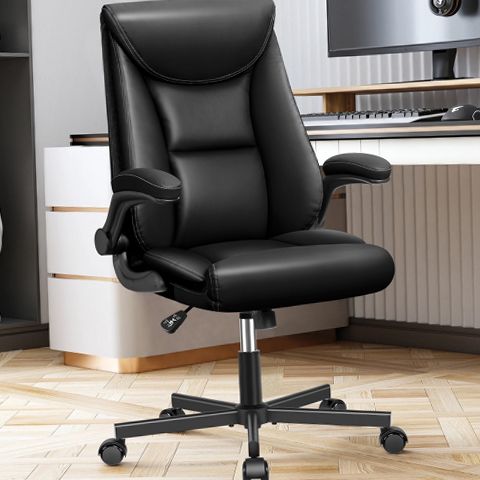 Coolhut LX-8088 Black Ergonomic Office Chair with Back Support