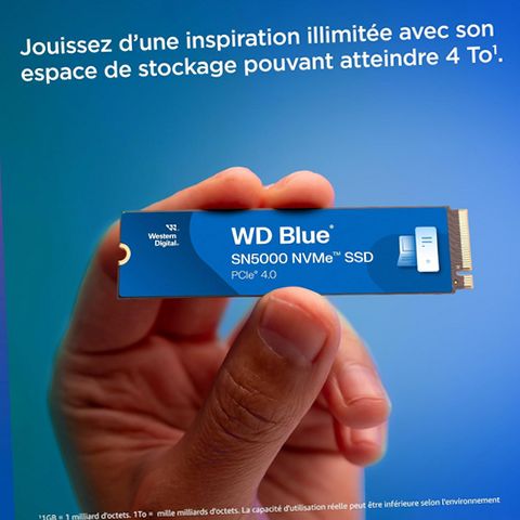 Western Digital SN5000 1TB WD Blue NVMe Internal Solid State Drive