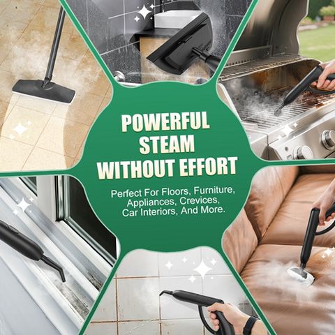 Loheer WJ558 Steam Cleaner, 1500W High-Pressure Steamer, Chemical