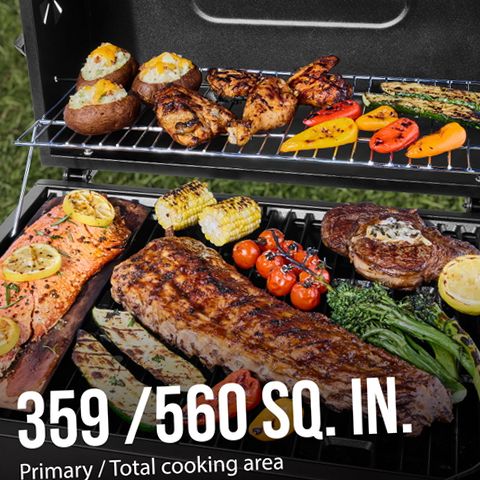 Expert Grill EX5704430716008 Heavy Duty 24