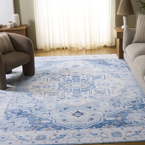 Safavieh RZW328L-8 Arizona Thames Oriental Area Rug, Machine