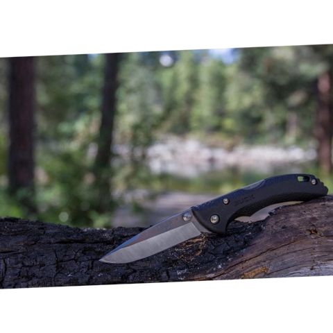 Buck Knives BU0284BKS-5759 284 Bantam BBW Folding EDC Knife, 2-3/4