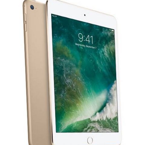 iPad mini4 128GBゴールド Wi-Fi + cellular Amazon.com : Apple iPad Mini 4 (Wi-Fi, 128GB) - Gold : Electronics