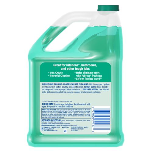 Mr. Clean MultiPurpose Cleaner Meadows & Rain, 128.0 FL OZ 37000194378